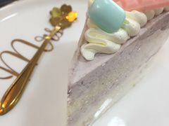 -柴源莊·柴小宠柴犬咖啡