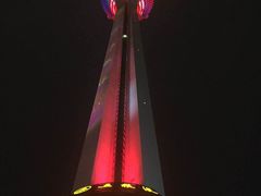 339旋转餐厅-339旋转餐厅(天府熊猫塔店)