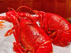-A One Kitchen·南京精菜馆(德基广场店)