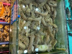 -强记海鲜·大排档(蛇口新街店)