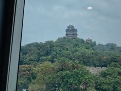 -七欣天香辣蟹火锅(南京建宁路大观天地店)