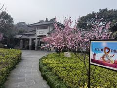-桃花岛风景旅游区
