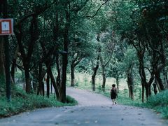 -燕晗山郊野公园
