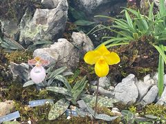 -国家植物园南园