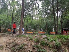 -阳台山自然风景区