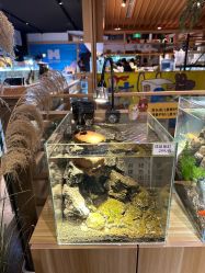 -造物庄园 萌宠纪(苏州湾歌林公园店)