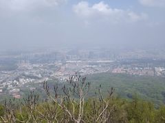 -紫金山山顶公园
