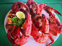 -Green Lobster Waskaduwa Seafood Restaurant