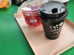 -喵屿·大理花园猫咖