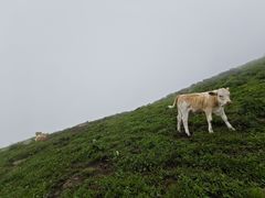 -灵山