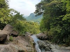 景点-天门沟九州驿站树上汤泉