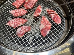 -观品和牛
