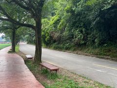 -广州市石门国家森林公园
