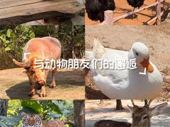 -海南热带野生动植物园