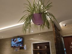 -六泰居·尔滨地标·东北菜(黄河路店)