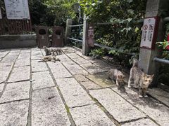 -崂山巨峰游览区