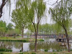 -东郊湿地公园