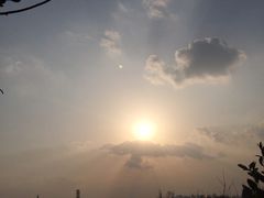 -白鹭湾湿地公园