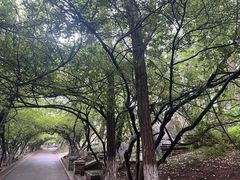 -烟台山景区