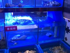 -小龍鳳·港式海鲜打边炉(沙湖路店)