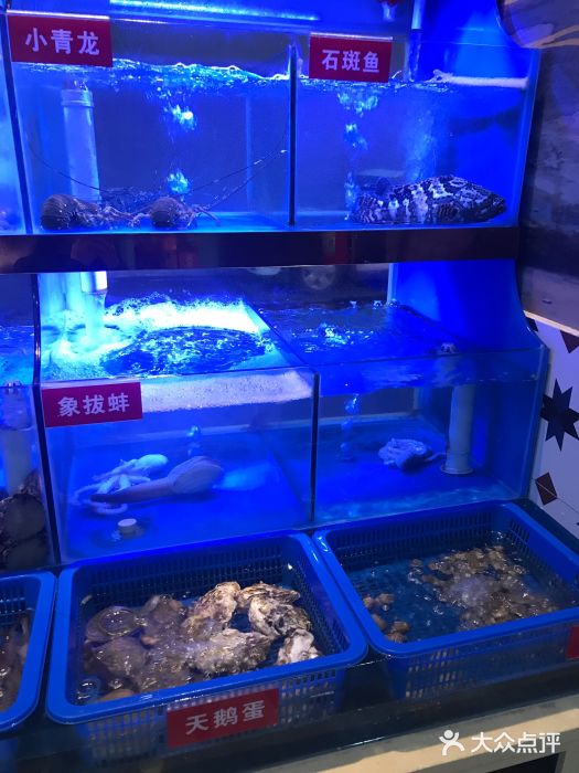 小龍鳳·港式海鲜打边炉(沙湖路店)图片