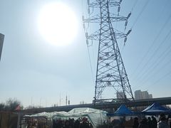 -中环花鸟鱼虫市场