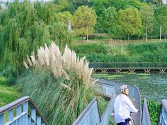 -白鹭湾湿地公园