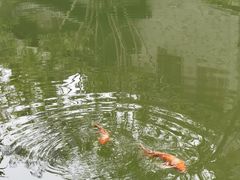 -龙潭水乡