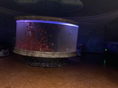 -印象·浅水湾(百乐门大厦店)