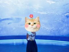 -贝林大翅鲸简餐厅(国家海洋博物馆店)