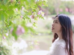 -鹅湖玫瑰文化园