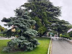 -青岛德国总督楼旧址博物馆