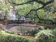 -香港大学