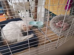 -平行世界·猫咖(首经贸店)