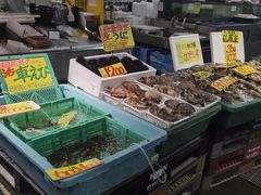 -海鮮寿司とれとれ市場