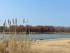 -苏州太湖国家湿地公园