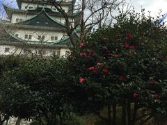 -名古屋城