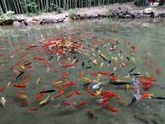-竹泉村旅游度假区