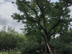-泰丰公园