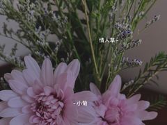 -溪岸路花鸟市场