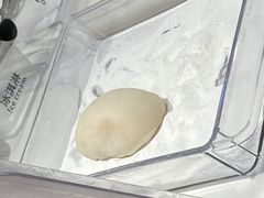 -聪记香港糯米糍(天虹店)