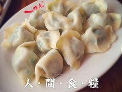 猪肉韭菜馅水饺-鸿毛饺子(紫竹桥店)