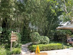 -春晖园度假酒店温泉