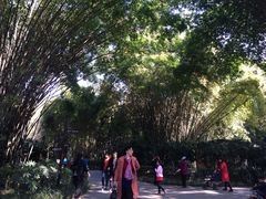 -望江楼公园