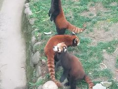 -西安秦岭野生动物园