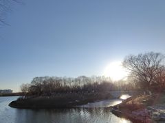 -大兴滨河森林公园