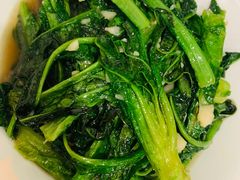 莴笋叶-新新湘菜馆(新中街二条店)