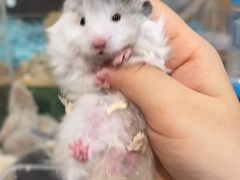 -三江源活鱼现烤(维多利摩尔城店)