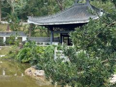 -深圳仙湖植物园