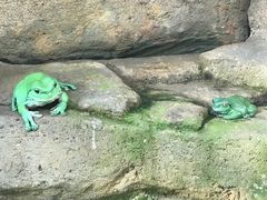 -悉尼海洋生物水族馆